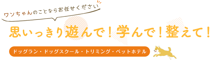 ワンちゃんのことならお任せください。思いっきり遊んで！学んで！整えて！ドッグラン・ドッグスクール・トリミング・ドッグホテル