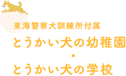 とうかい犬の幼稚園・とうかい犬の学校