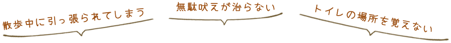 散歩中に引っ張られてしまう、無駄吠えが治らない、トイレの場所を覚えない